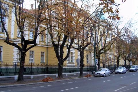 Gyulai Törvényszék