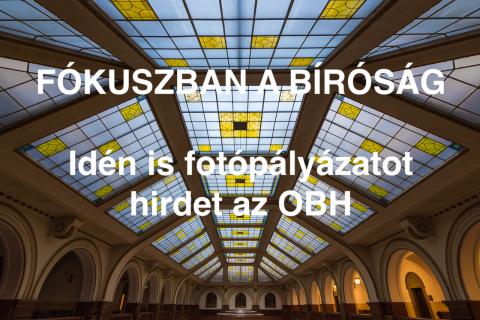 Fókuszban a bíróság! 