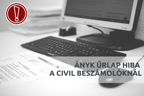 ÁNYK űrlaphiba