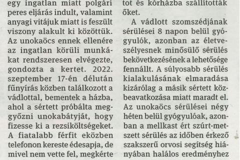 Késsel támadt rokonra, szomszédra