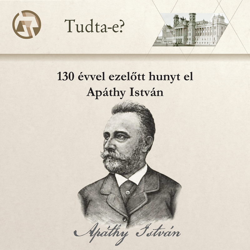 Apáthy István Thumbnail