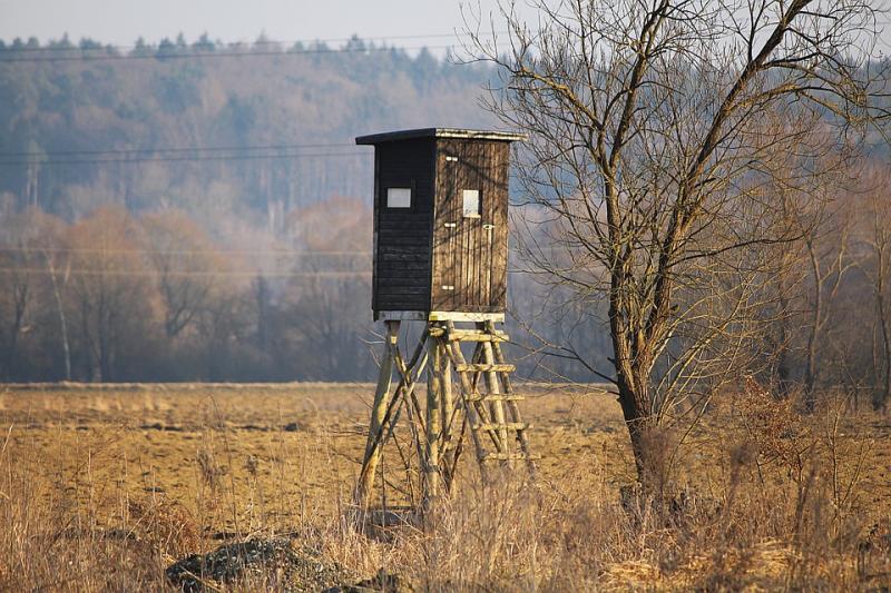 orvvadászat