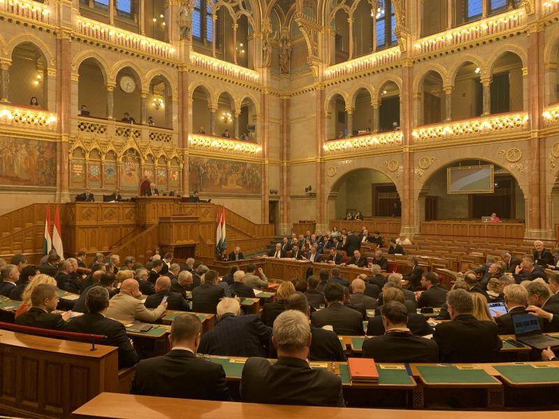 nagy fehér kakas cum